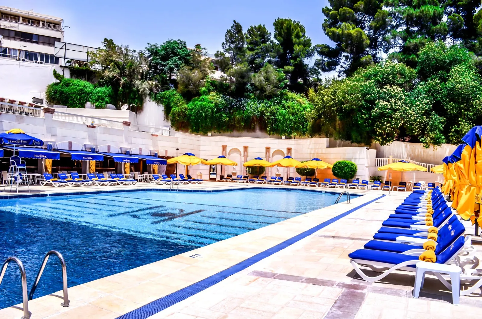 Dama Rose Hotel — 13