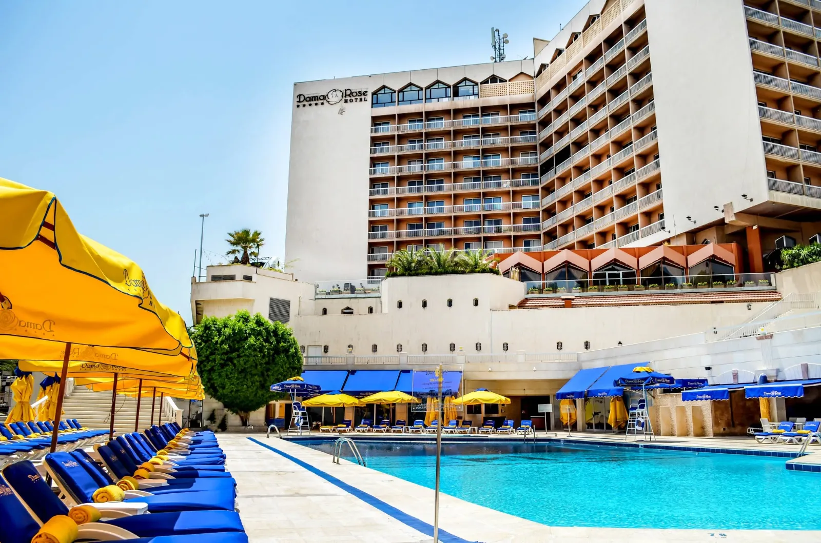 Dama Rose Hotel — 10