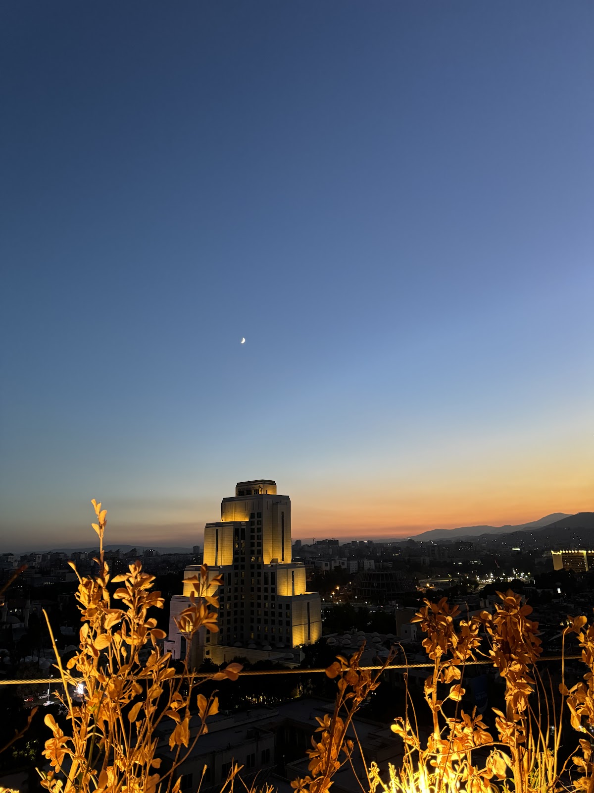 Fardoss Tower Hotel 5