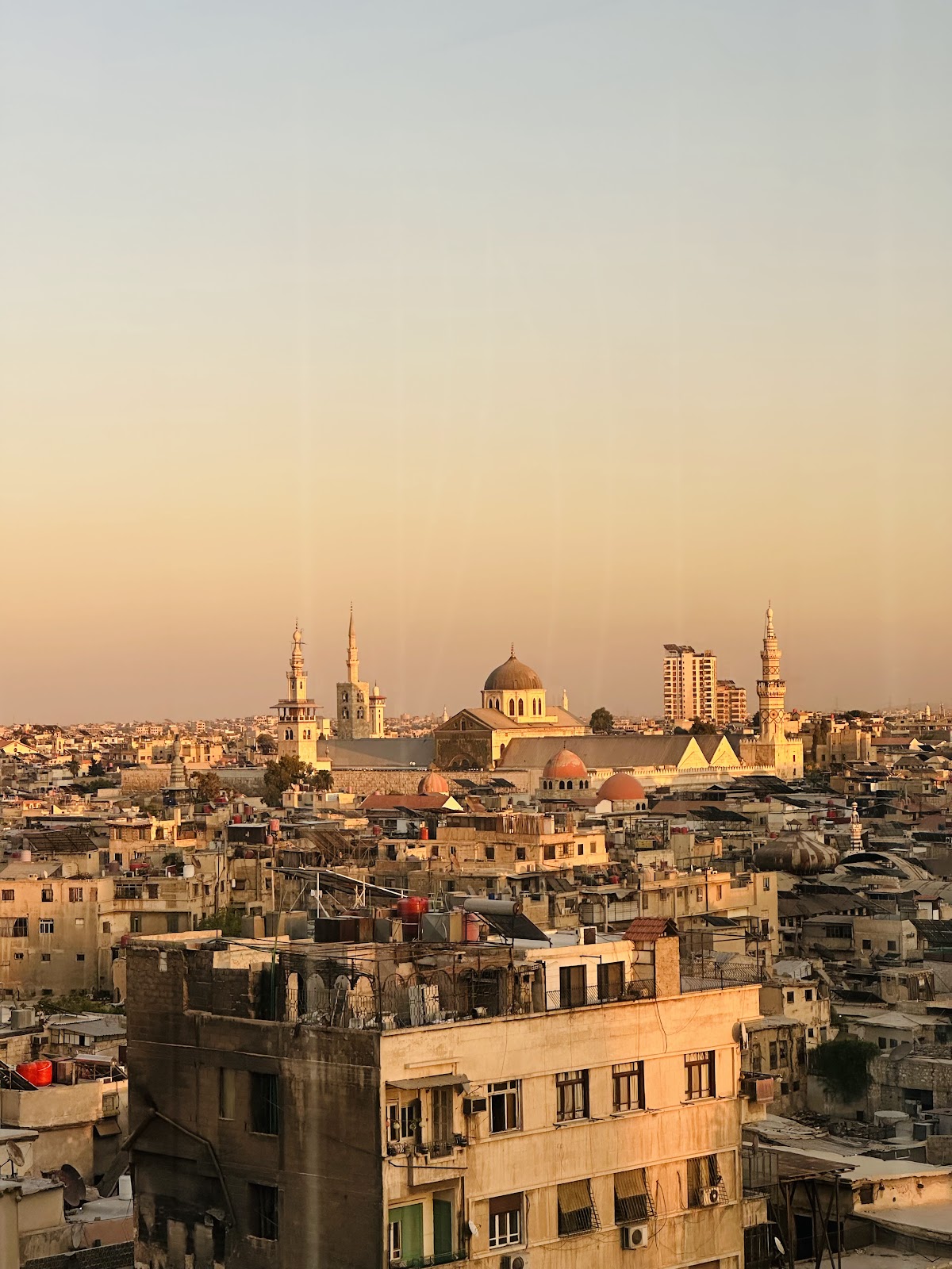 قيصر بالاس 1