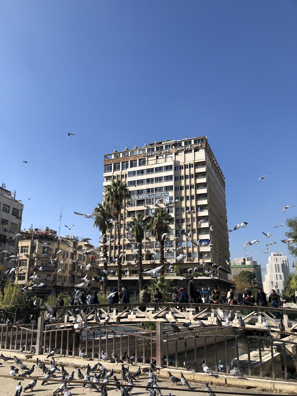 المرجة 4