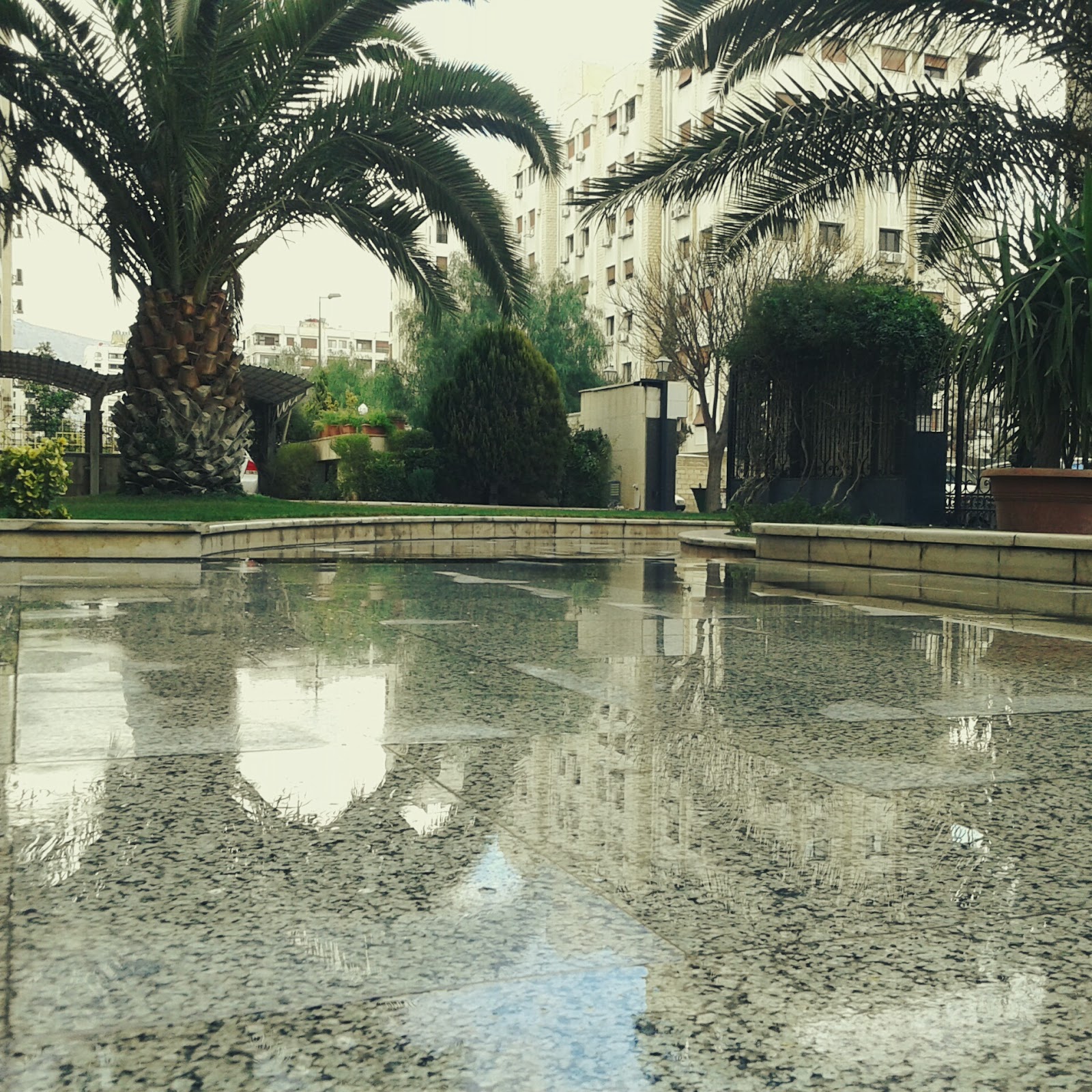 بناء الفاروق 1