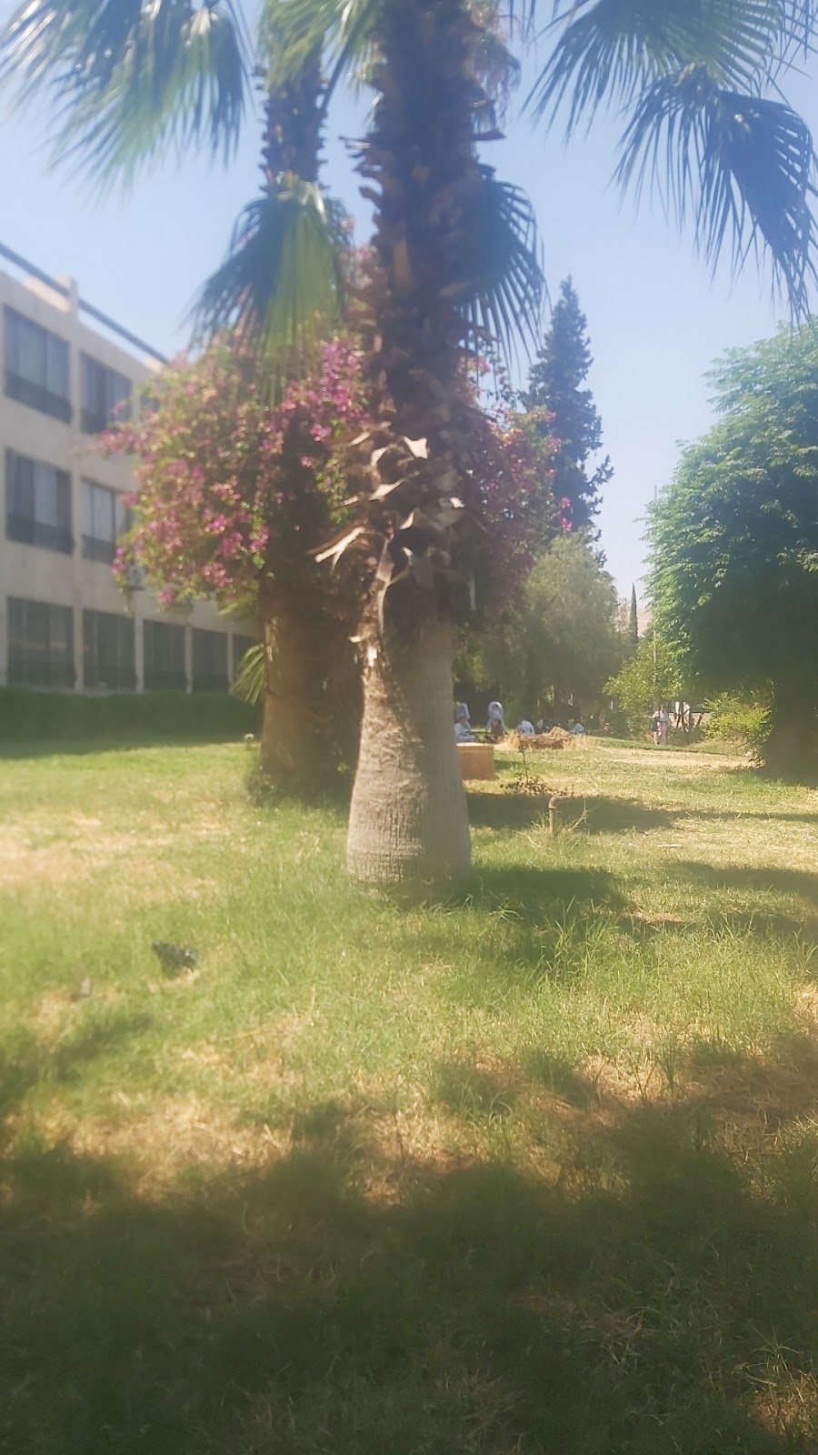 Tishreen Hotel 4