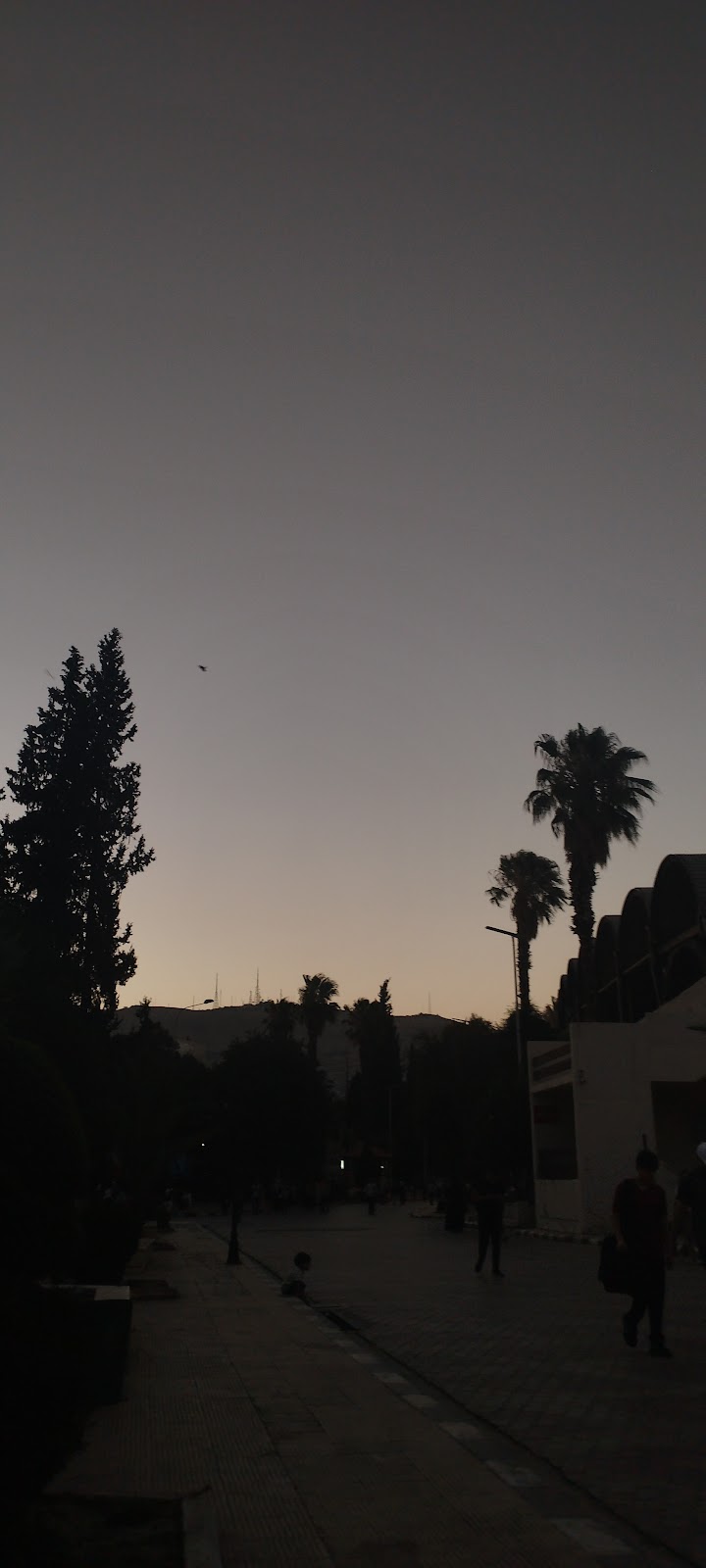 Tishreen Hotel 5